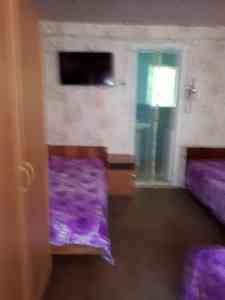 2022-01-5949-nashi_foto_282.jpg 3