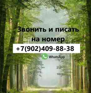 2022-06-6940-1a.jpg 2