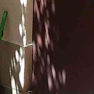 2026-09-6459-20200819_112008.jpg 6
